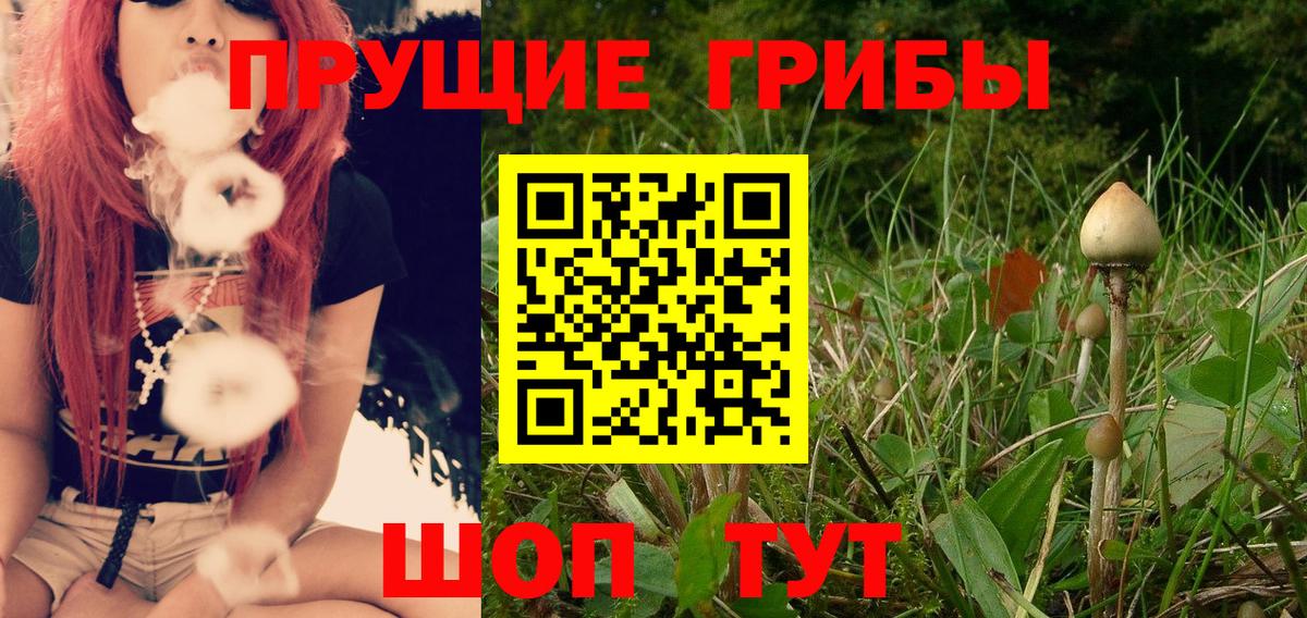 Галлюциногенные грибы мицелий Сыктывкар