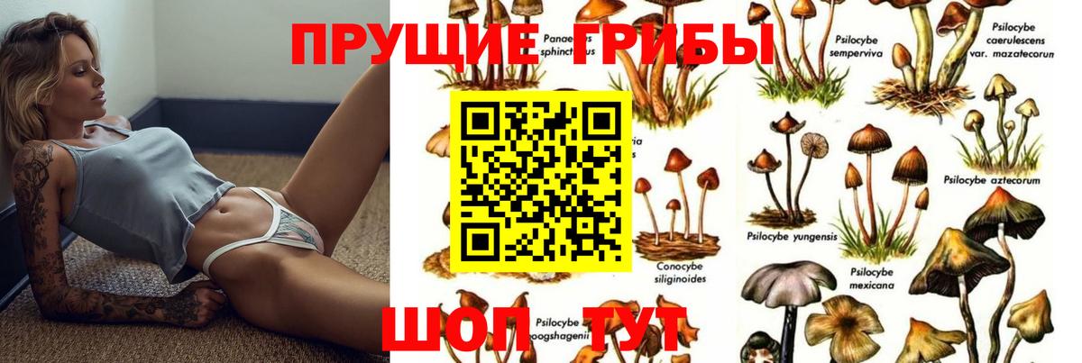 Сыктывкар  Псилоцибиновые грибы прущие грибы  Вход с VPN 